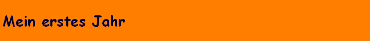 Mein erstes Jahr