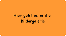Hier geht es in die 
Bildergalerie