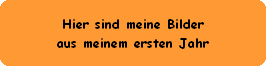 Hier sind meine Bilder
aus meinem ersten Jahr